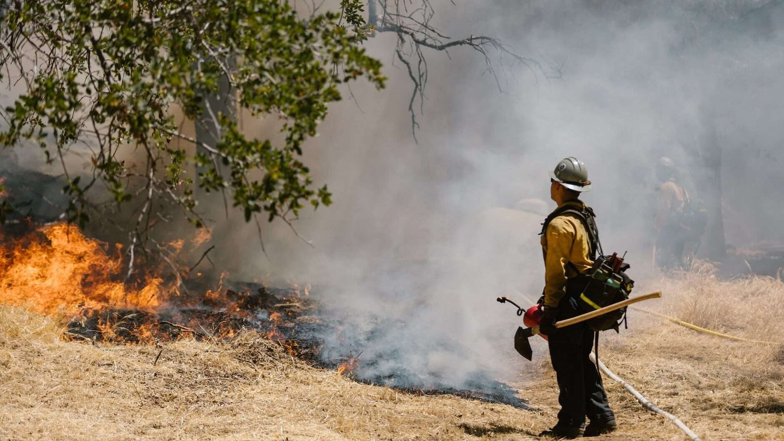 firefighters confronting wildfire