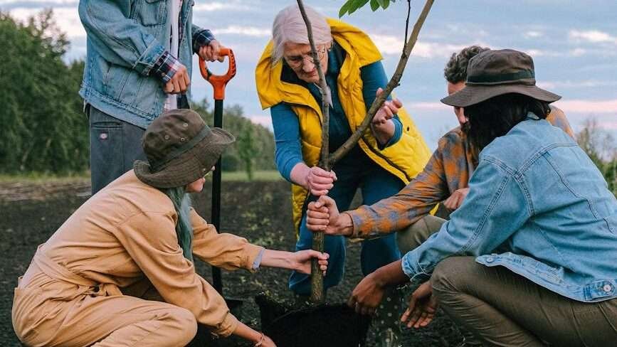 people planting together