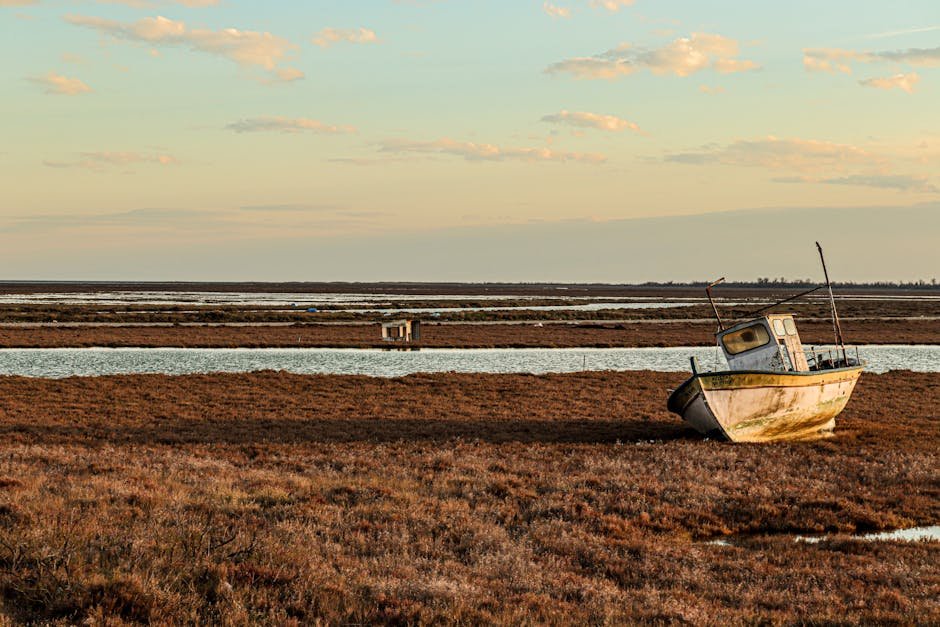 Abandoned boat by a delta river isolated